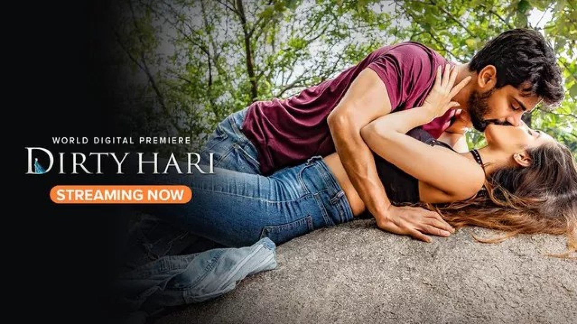 Dirty Hari (2020) Telugu Aha WEB-DL