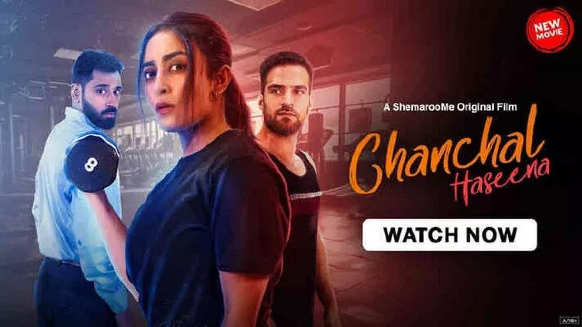 Chanchal Haseena (2024) Hindi SM WEB-DL