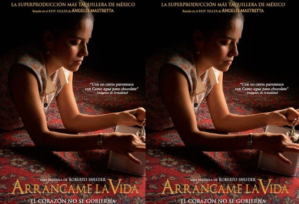 Tear This Heart Out (2008) UNRATED Spanish HDRip