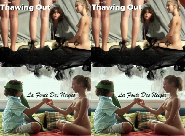 Thawing Out (2009) UNRATED French HDRip